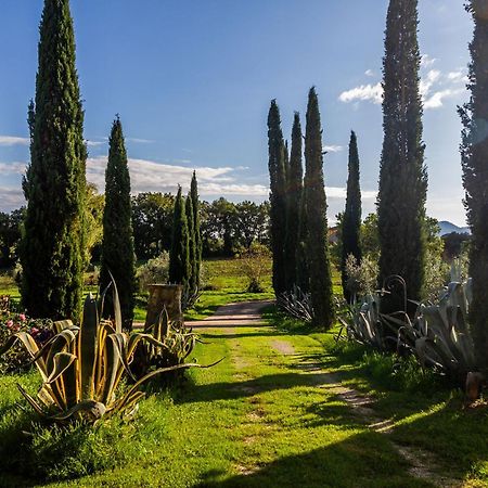 Agriturismo Bio Fattoria Casetta Gavorrano Eksteriør bilde