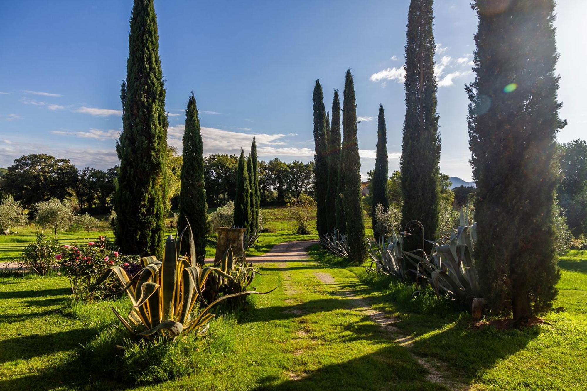 Agriturismo Bio Fattoria Casetta Gavorrano Eksteriør bilde