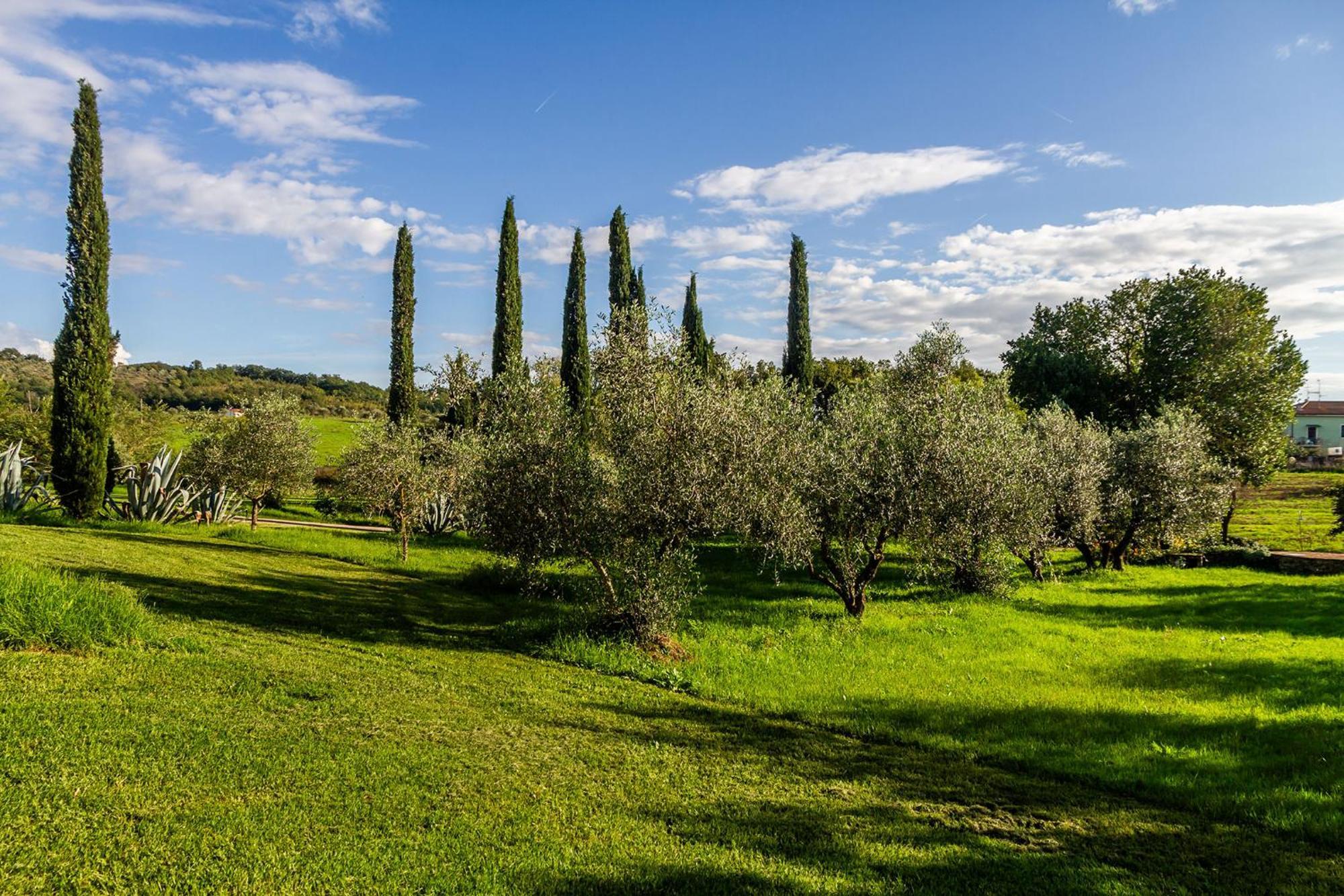 Agriturismo Bio Fattoria Casetta Gavorrano Eksteriør bilde