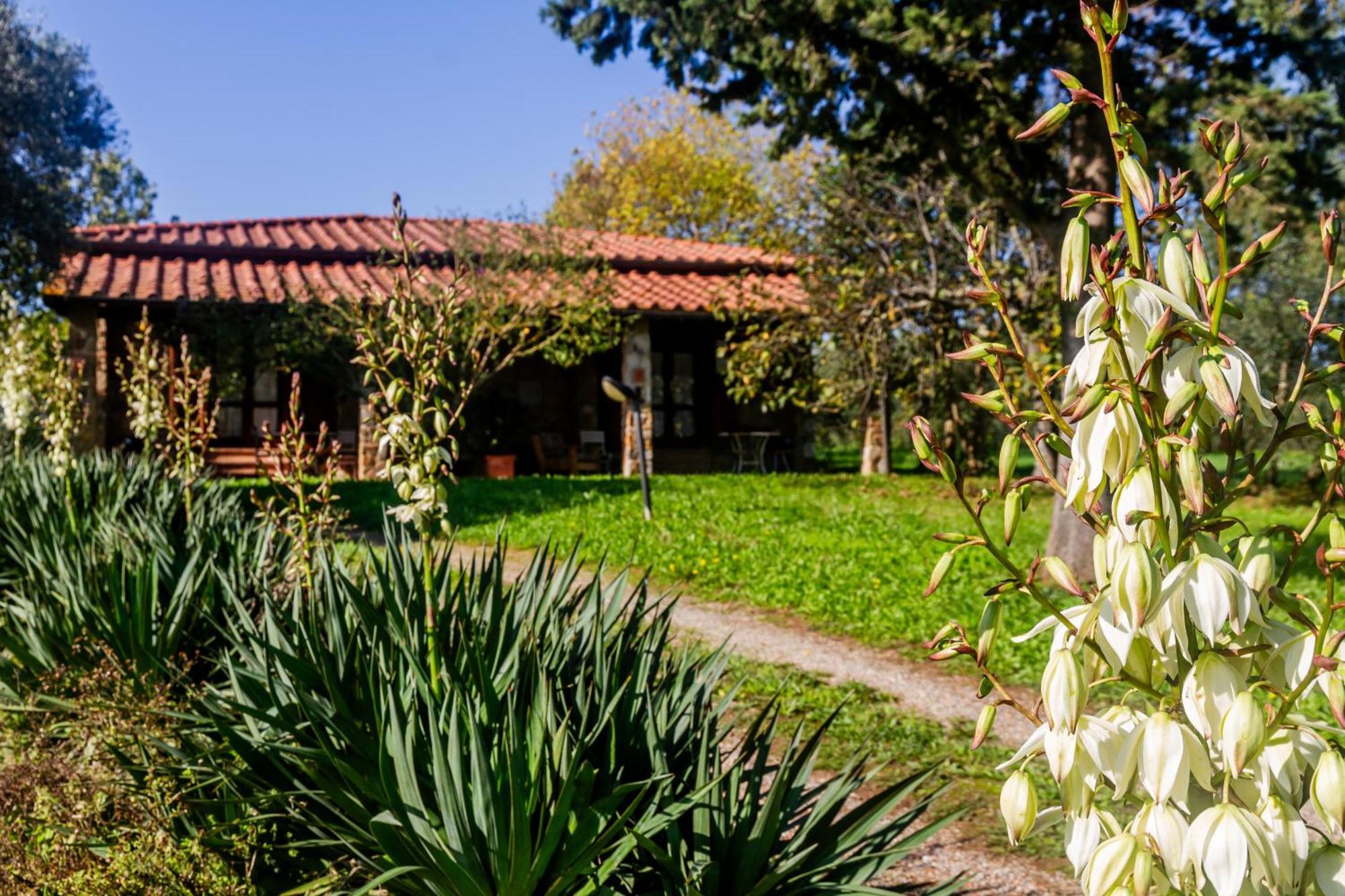 Agriturismo Bio Fattoria Casetta Gavorrano Eksteriør bilde