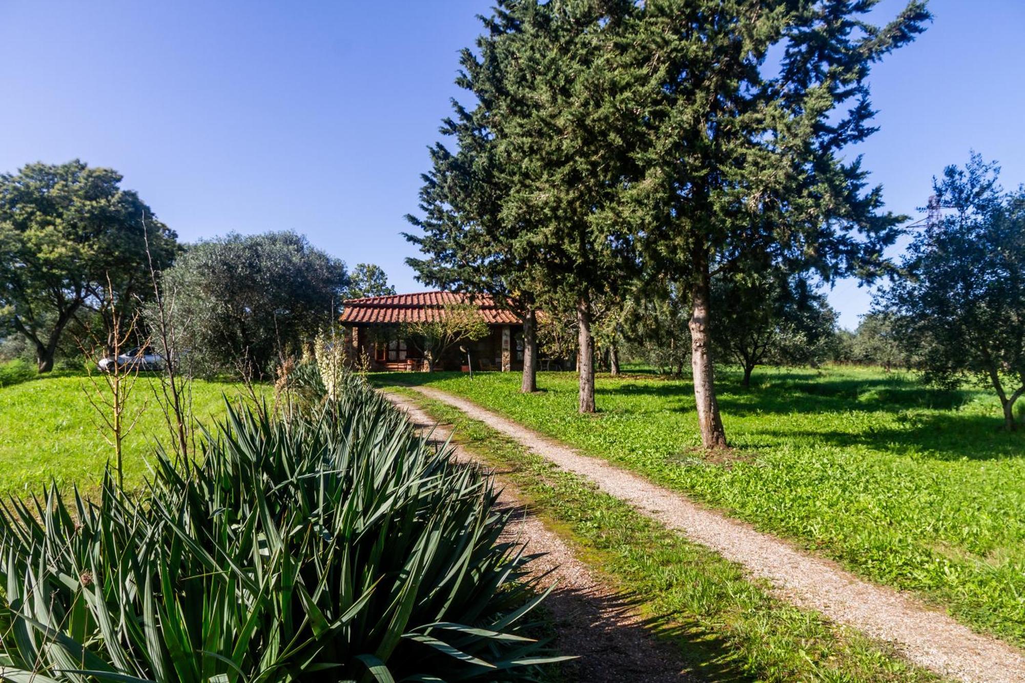 Agriturismo Bio Fattoria Casetta Gavorrano Eksteriør bilde